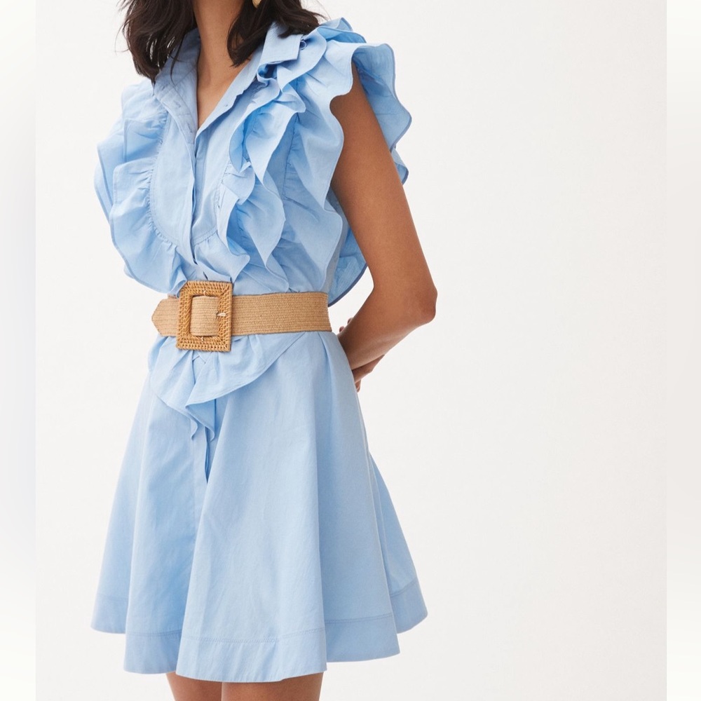 Maeve Ruffled Button-Front Mini Dress - Picture 3 of 12